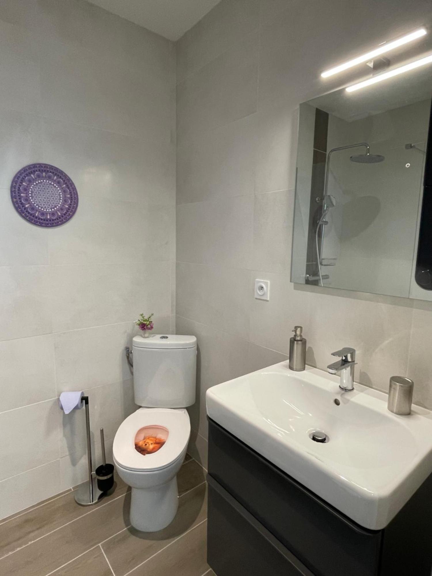 Nuitzen Apartman Boyer Kültér fotó